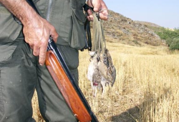 Principales factores para la caza de codornices