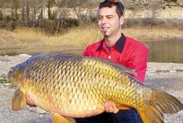 «Carp fishing», la pesca de grandes carpas, modalidad en alza