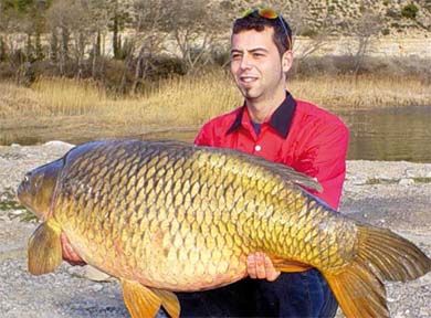 «Carp fishing», la pesca de grandes carpas, modalidad en alza