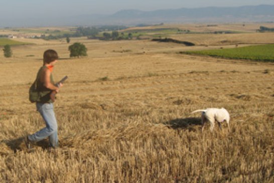 Más de 75 entidades del mundo rural se unen en una Plataforma para reclamar al Gobierno ser interlocutores prioritarios de todo aquello que afecte al campo