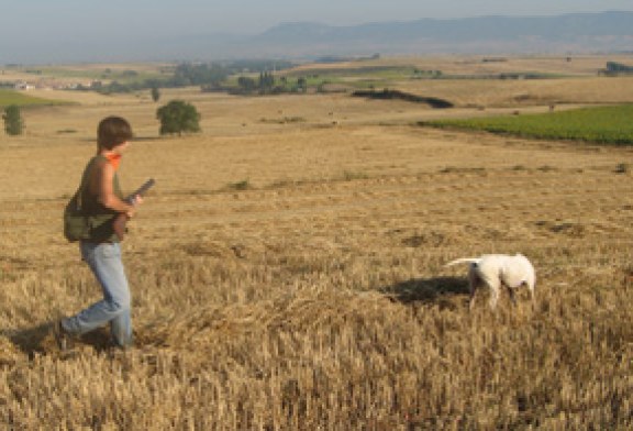 Más de 75 entidades del mundo rural se unen en una Plataforma para reclamar al Gobierno ser interlocutores prioritarios de todo aquello que afecte al campo