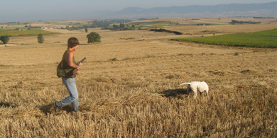 Más de 75 entidades del mundo rural se unen en una Plataforma para reclamar al Gobierno ser interlocutores prioritarios de todo aquello que afecte al campo