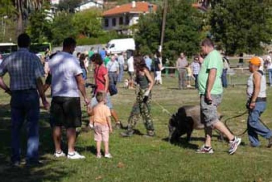 La Feria de Caza y Pesca de Muskiz llega a su sexta edición con una gran acogida de público