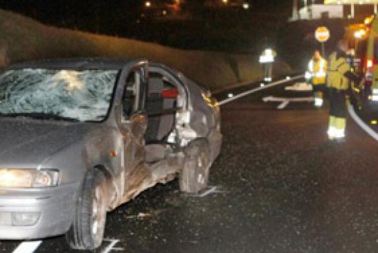 El atropello de un jabalí provoca un accidente mortal en la A-8