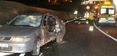 El atropello de un jabalí provoca un accidente mortal en la A-8