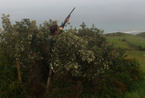Los cazadores se quedan sin puesto tras la protección de la franja Deba-Zumaia