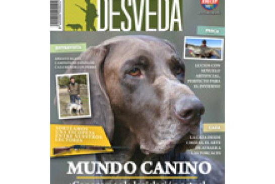 Nuestra revista dedica el mes de enero al mundo canino