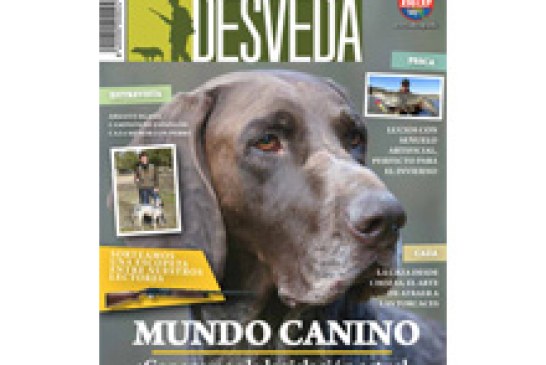 Nuestra revista dedica el mes de enero al mundo canino