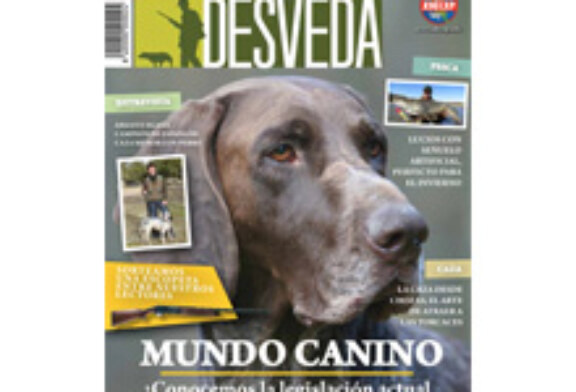 Nuestra revista dedica el mes de enero al mundo canino