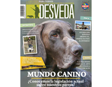 Nuestra revista dedica el mes de enero al mundo canino