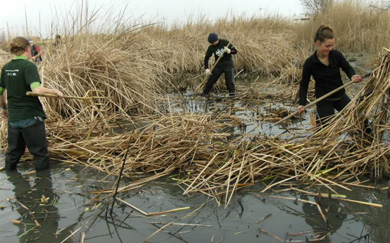 Once asociaciones colaborarán en el programa de voluntariado ambiental PROVOCA 2013