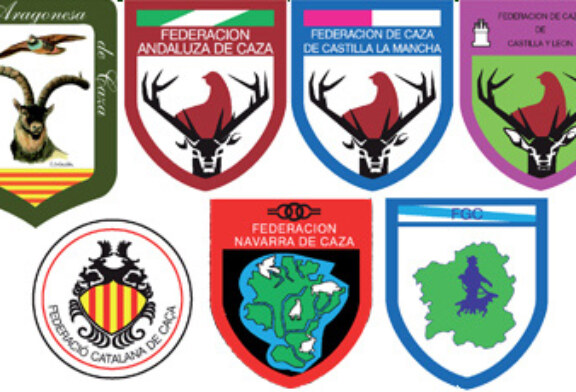 Siete Federaciones Autonómicas solicitan una reunión con el Consejo Superior de Deportes