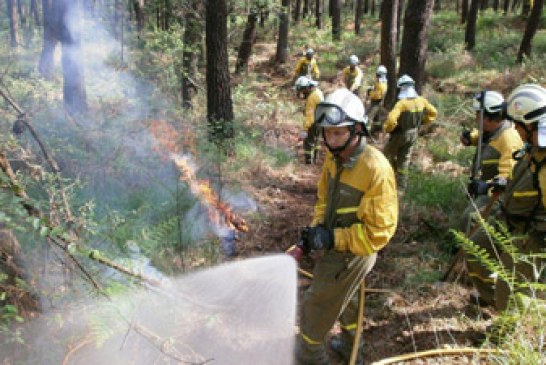 Bizkaia a la cola en número de incendios forestales en sus montes en 2012