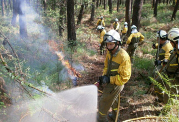Bizkaia a la cola en número de incendios forestales en sus montes en 2012