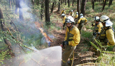 Bizkaia a la cola en número de incendios forestales en sus montes en 2012