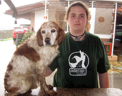 Adecap Gazteak niega rotundamente que los cazadores abandonen a sus perros