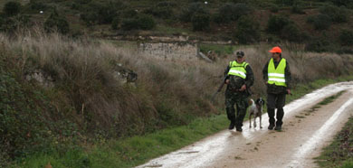 Egaña, Gisasola y Pejenaute representarán a Euskadi y Navarra en la final del campeonato estatal de caza menor con perro