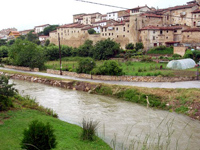 Jornada de limpieza en el río Berrón a cargo de La Sociedad Alavesa de Pesca con Mosca