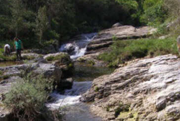 Red Cambera imparte hoy una charla sobre conservación piscícola en los ríos cántabros