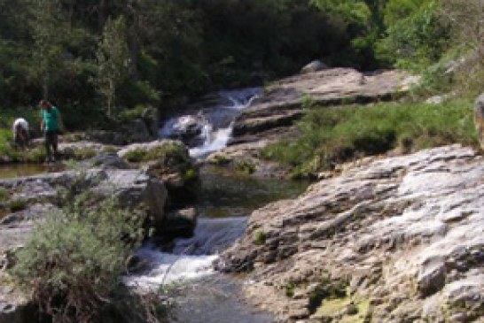 Red Cambera imparte hoy una charla sobre conservación piscícola en los ríos cántabros