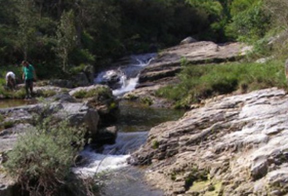 Red Cambera imparte hoy una charla sobre conservación piscícola en los ríos cántabros