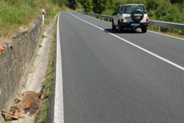 ADECANA pide cambiar la responsabilidad por accidentes