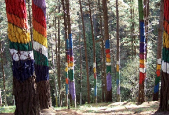 El Colegio Oficial de Ingenieros Técnicos Forestales recuerda que los bosques son vitales