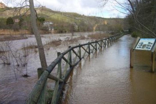 Suspendido el XI Concurso de pesca Campano Soriano