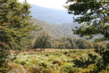 Adecana se opone a la variación del tamaño de los cotos en la Ley Foral de Caza y Pesca