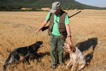 Los cazadores encaran la media veda con el campo ‘pelado’ por la sequía