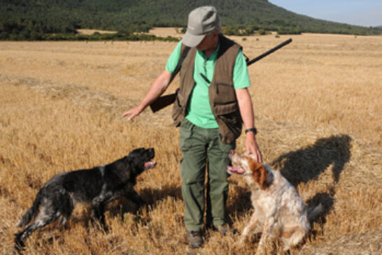 Los cazadores encaran la media veda con el campo ‘pelado’ por la sequía