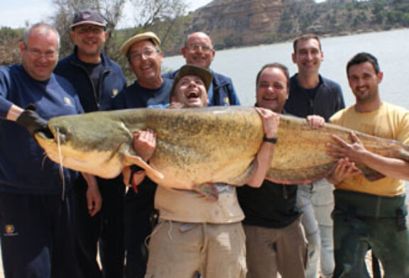 Los peces del Ebro y su pesca deportiva