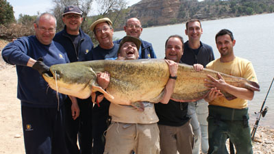 Los peces del Ebro y su pesca deportiva