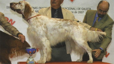 Güeñes acoge mañana la I Exposición Monográfica de Perros de Caza