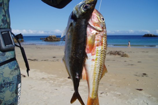 Pesca submarina para cazadores y pescadores