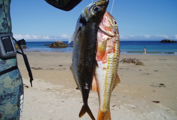 Pesca submarina para cazadores y pescadores