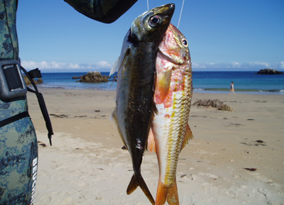 Pesca submarina para cazadores y pescadores