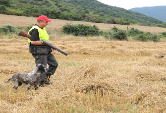 En plena pretemporada canina