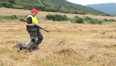 En plena pretemporada canina