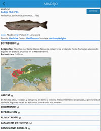 Azti desarrolla una aplicación que permite la identificación rápida de especies pesqueras