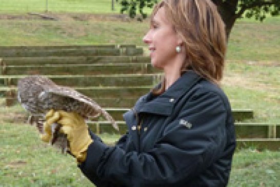 El centro de Gorliz recupera 75 ejemplares de fauna silvestre entre agosto y septiembre