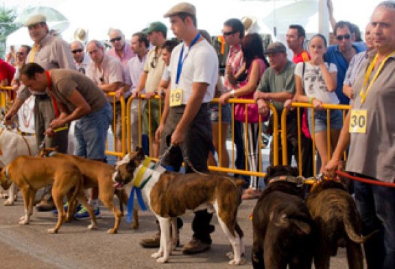 Calidad y cantidad en la V edición de la feria de perros de caza «Berrocaza»