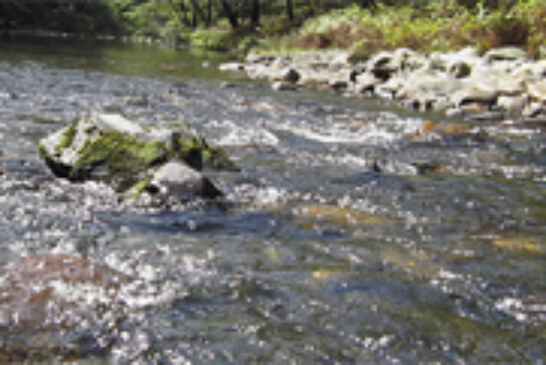 Responsables de ‘Guratrans’ comparten experiencias para mejorar la gestión de los ríos
