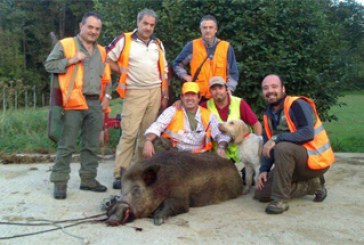 Bizkaia, pasión por el jabalí