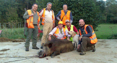 Bizkaia, pasión por el jabalí