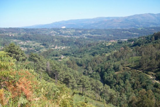 La UNAC remite la Ley de Caza de Galicia al Defensor del Pueblo