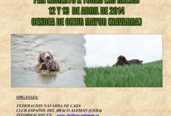 Pruebas de trabajo en campo y agua y de cobro por rastro de pluma y pelo en Cendea de Cizur