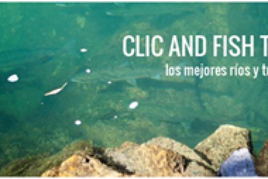 Experiencias Clic and Fish