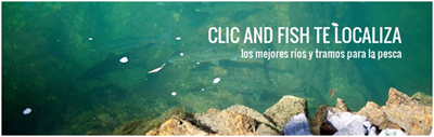 Experiencias Clic and Fish