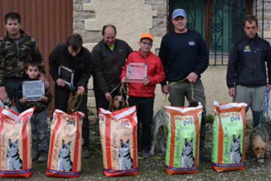 IV. Copa Navarra de Perros de Rastro sobre jabalí salvaje